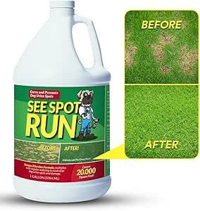 How To Neutralize Dog Urine On Grass