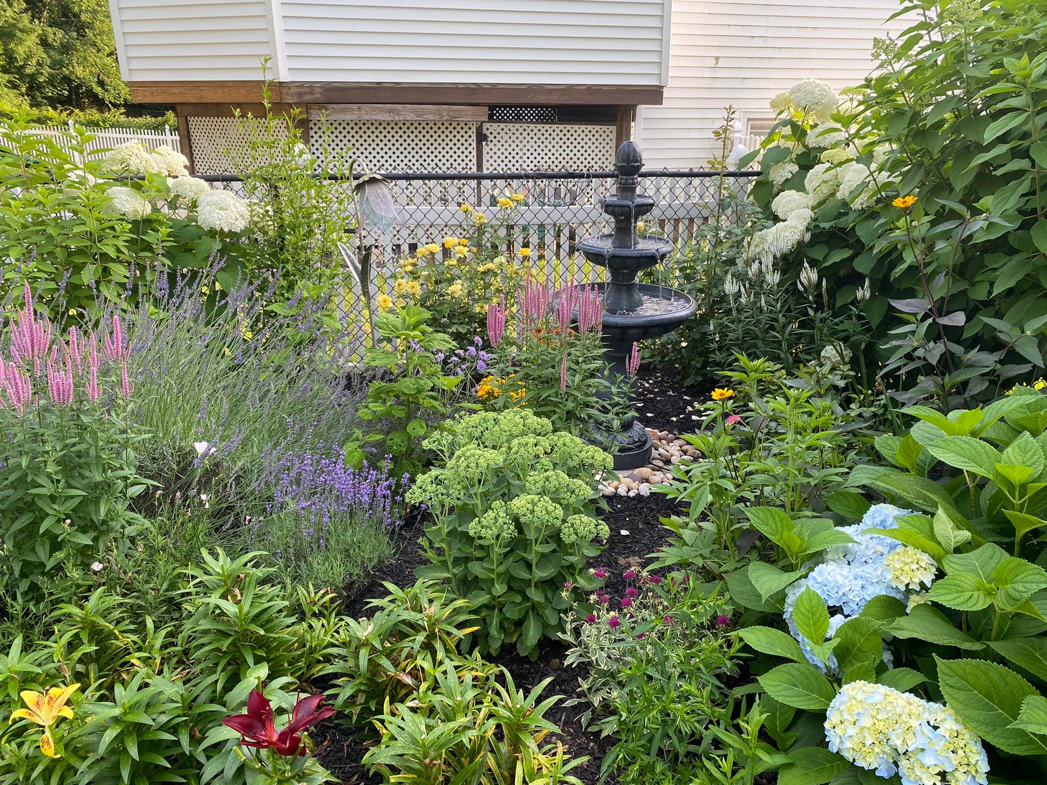 How to attract hummingbirds