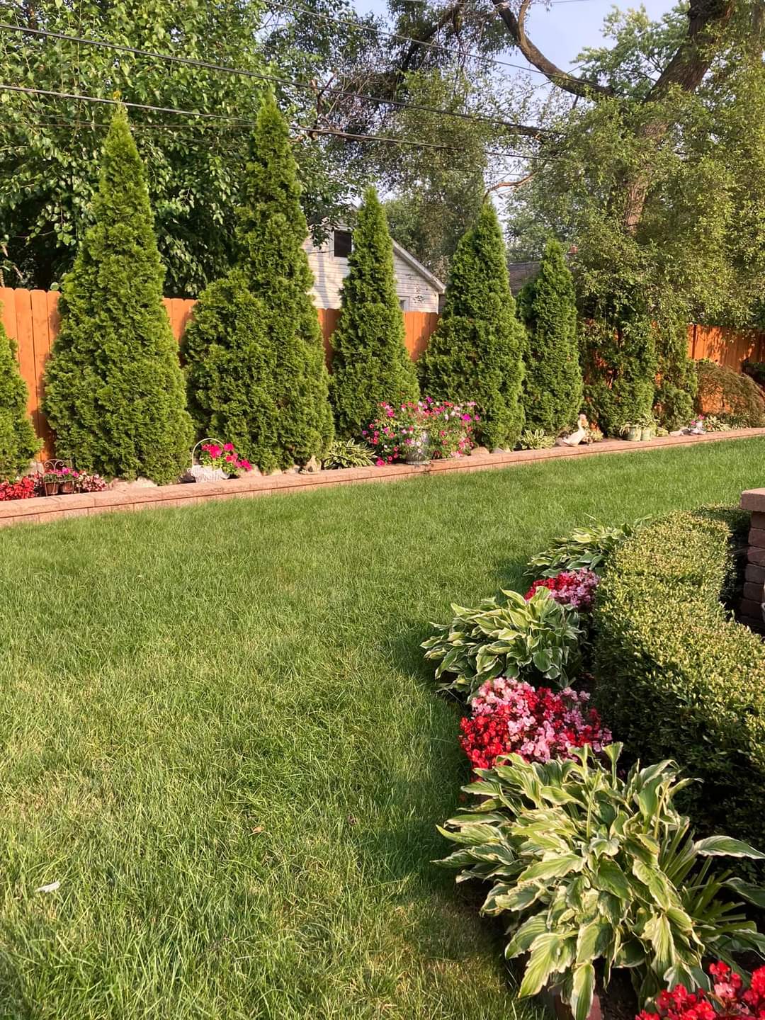 Low-maintenance plants for fence line