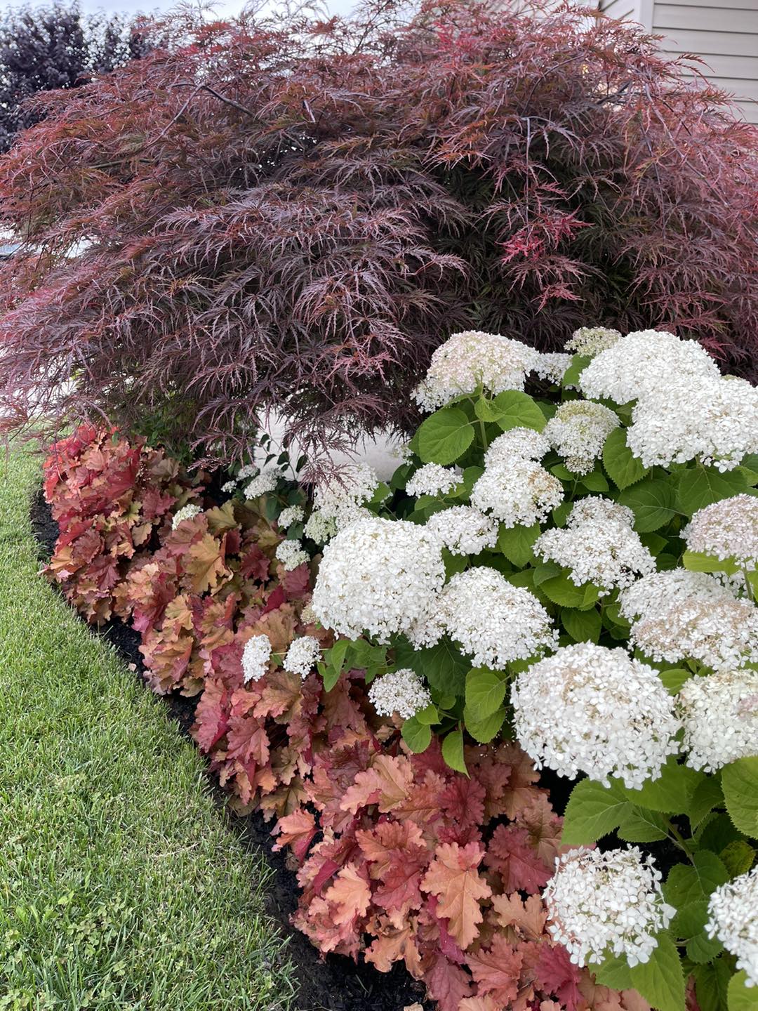 Colorful Shrubs For Front Of House Ideas