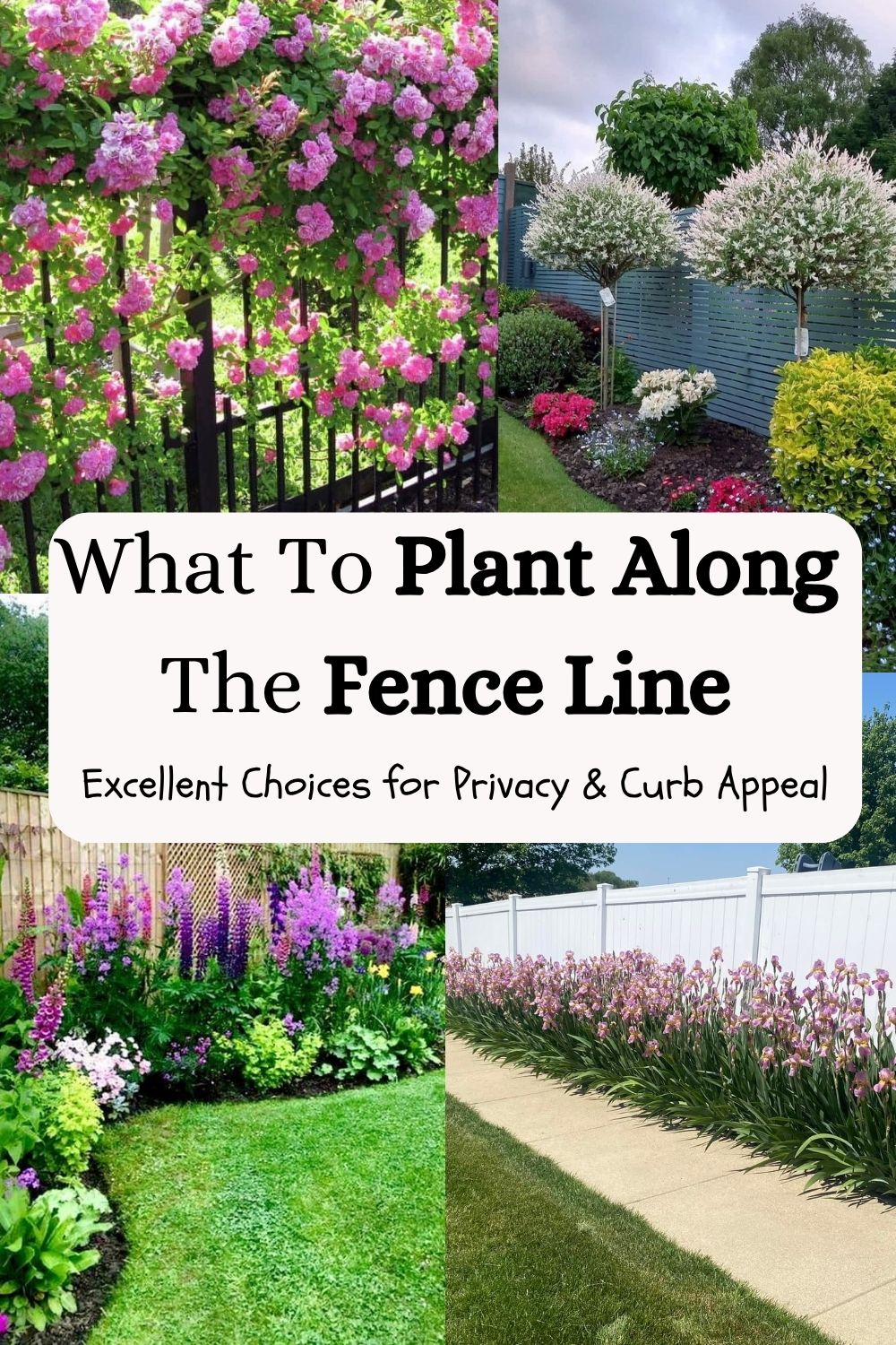 What To Plant Along The Fence Line