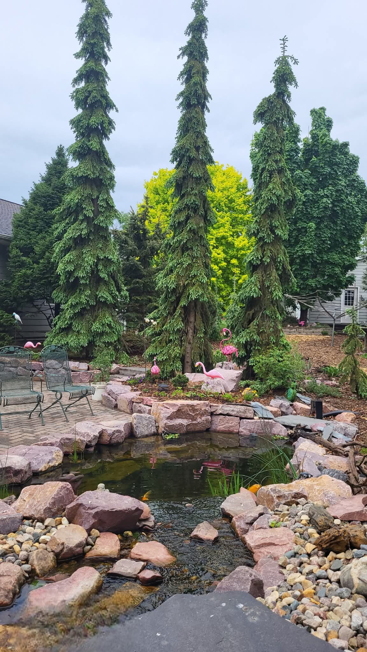 Backyard Ideas On A Budget