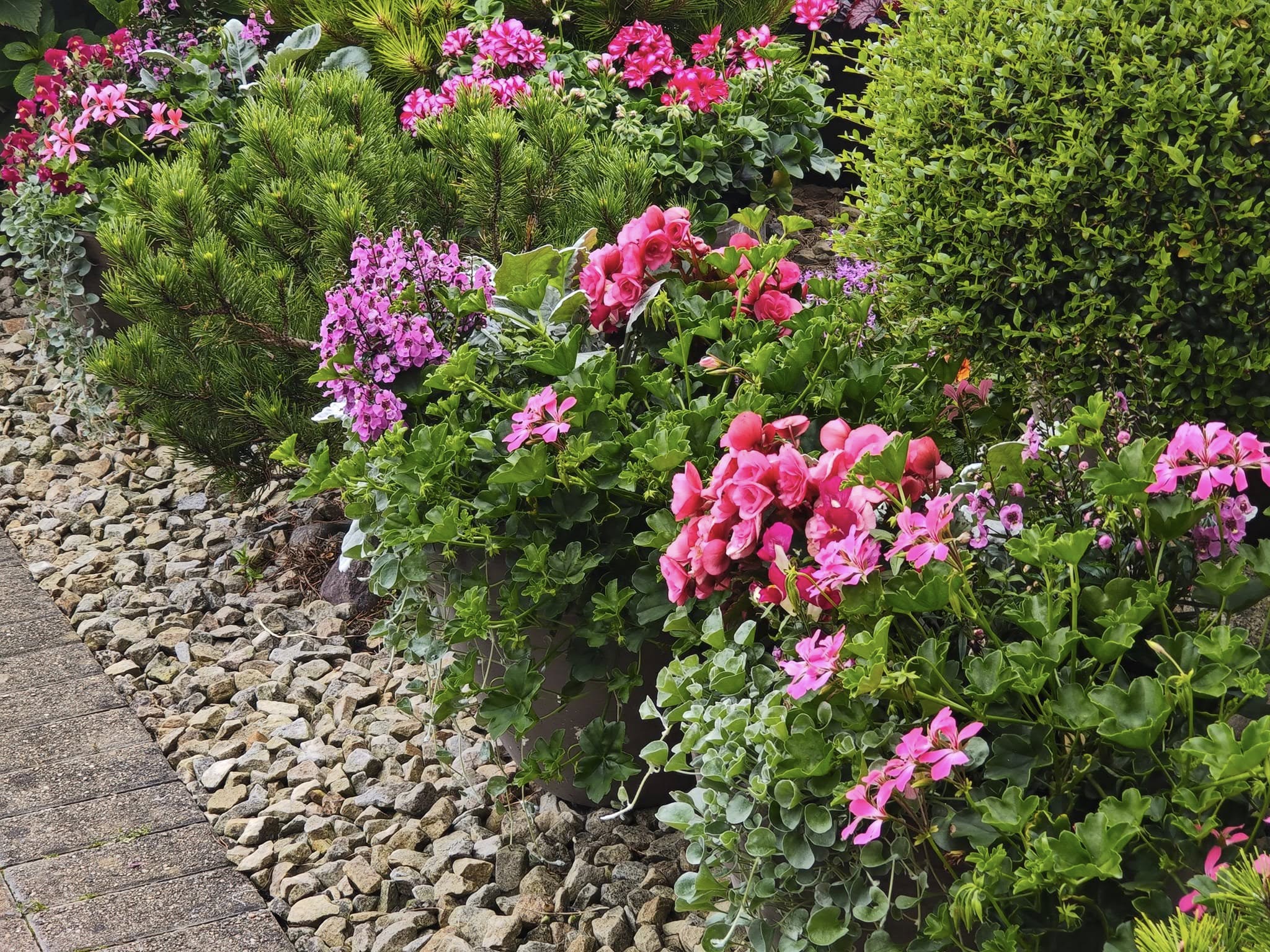 how to layer plants in front of house