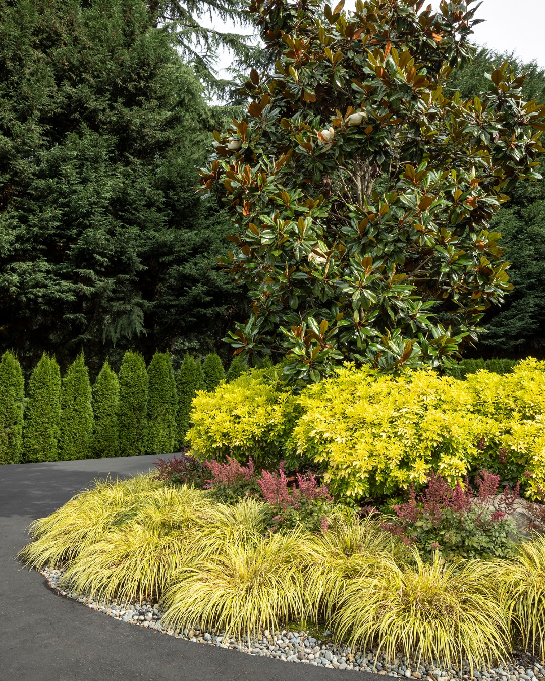 How to Layer Plants for Landscaping