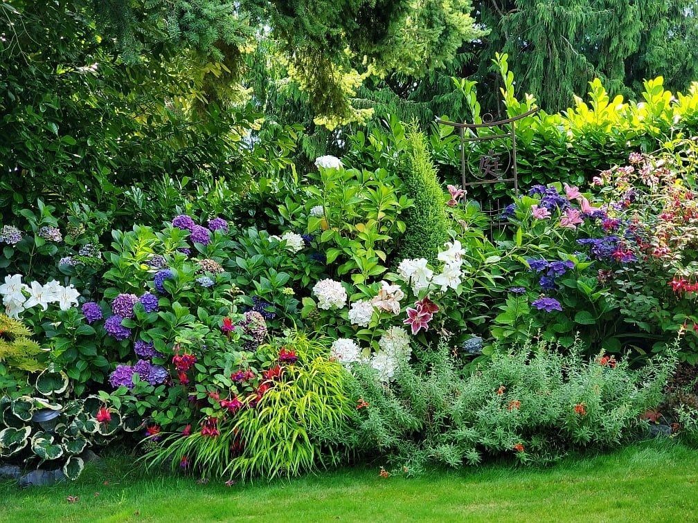 How to layer plants for landscaping step by step