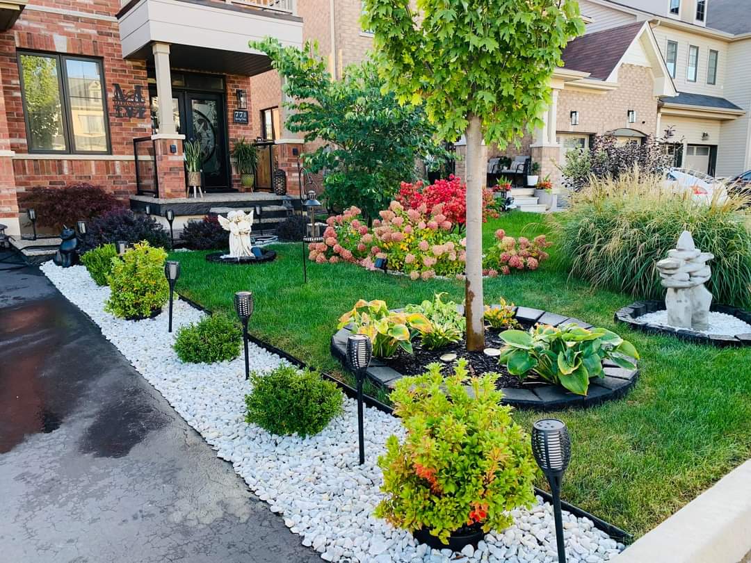 Low Maintenance Yard Landscaping Ideas