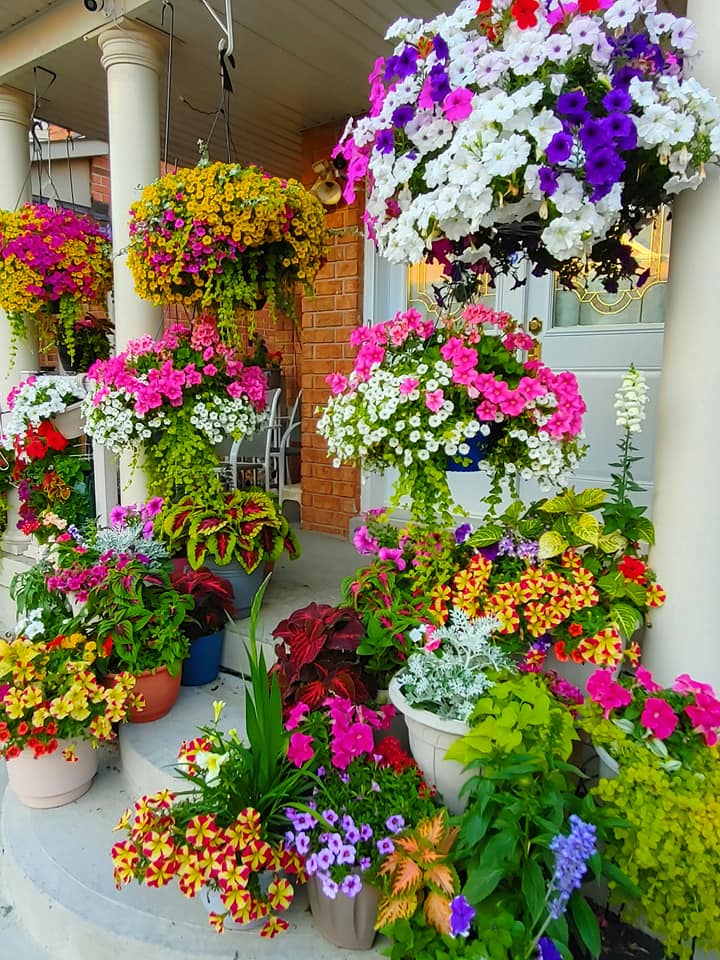 flower bed in front of house ideas