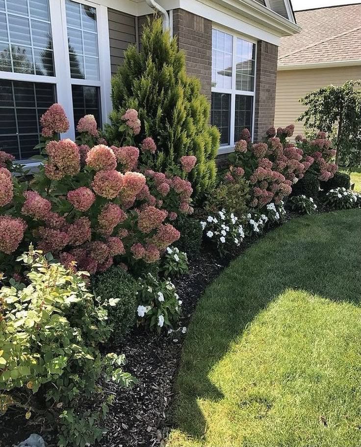 foundation planting plants for front of house ideas
