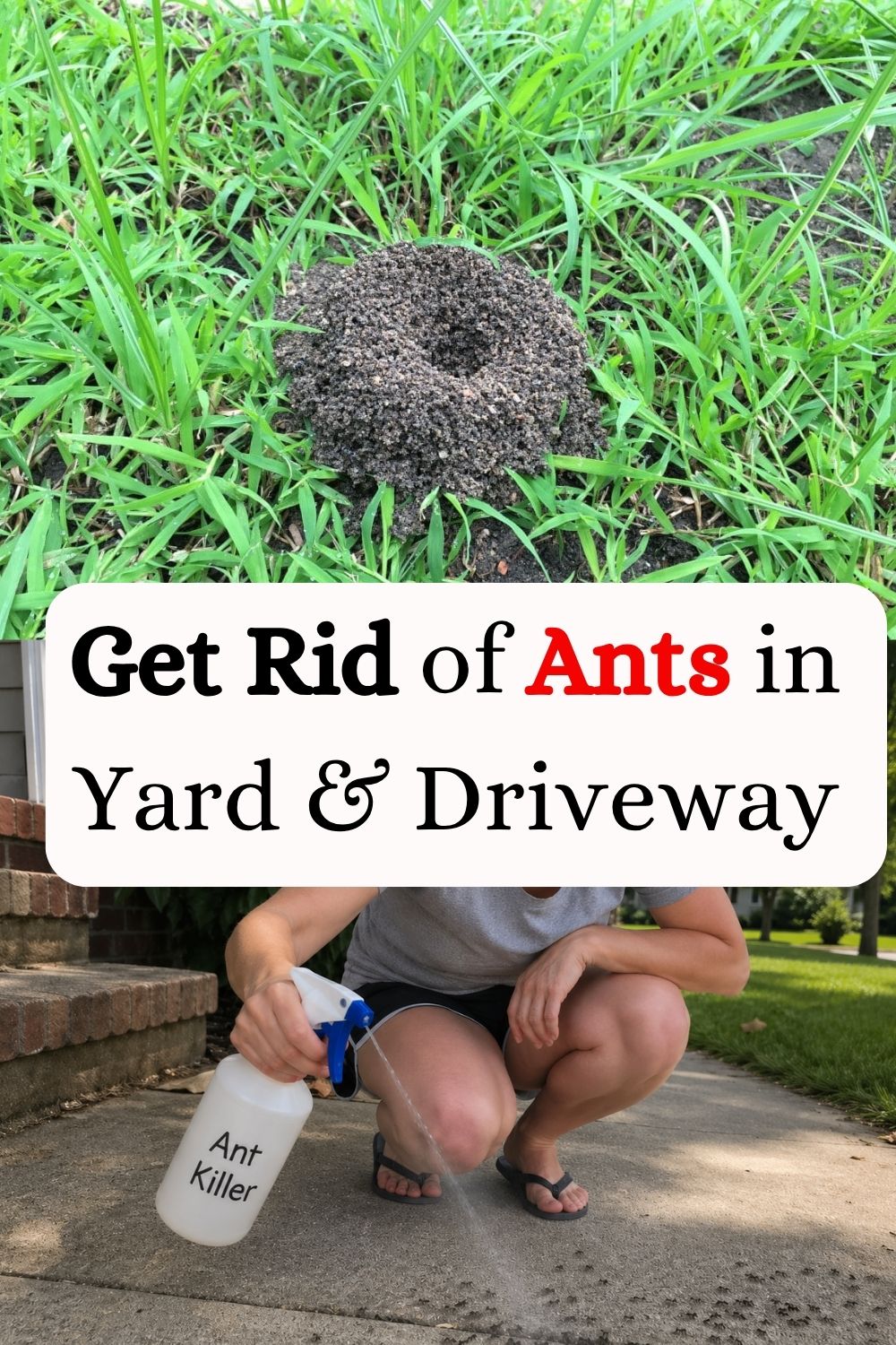 How To Get Rid of Ants in the Yard and Driveway Naturally