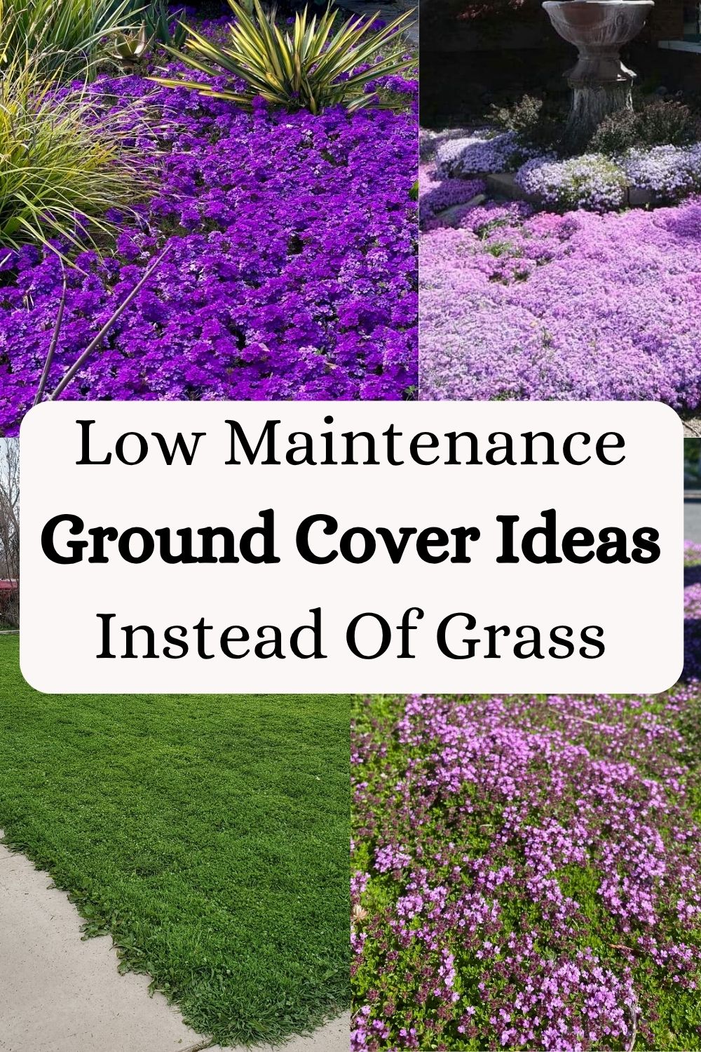 Low Maintenance Ground Cover Ideas Instead Of Grass