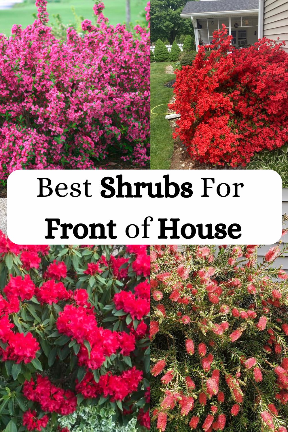 Low Maintenance Shrubs For Front Of House