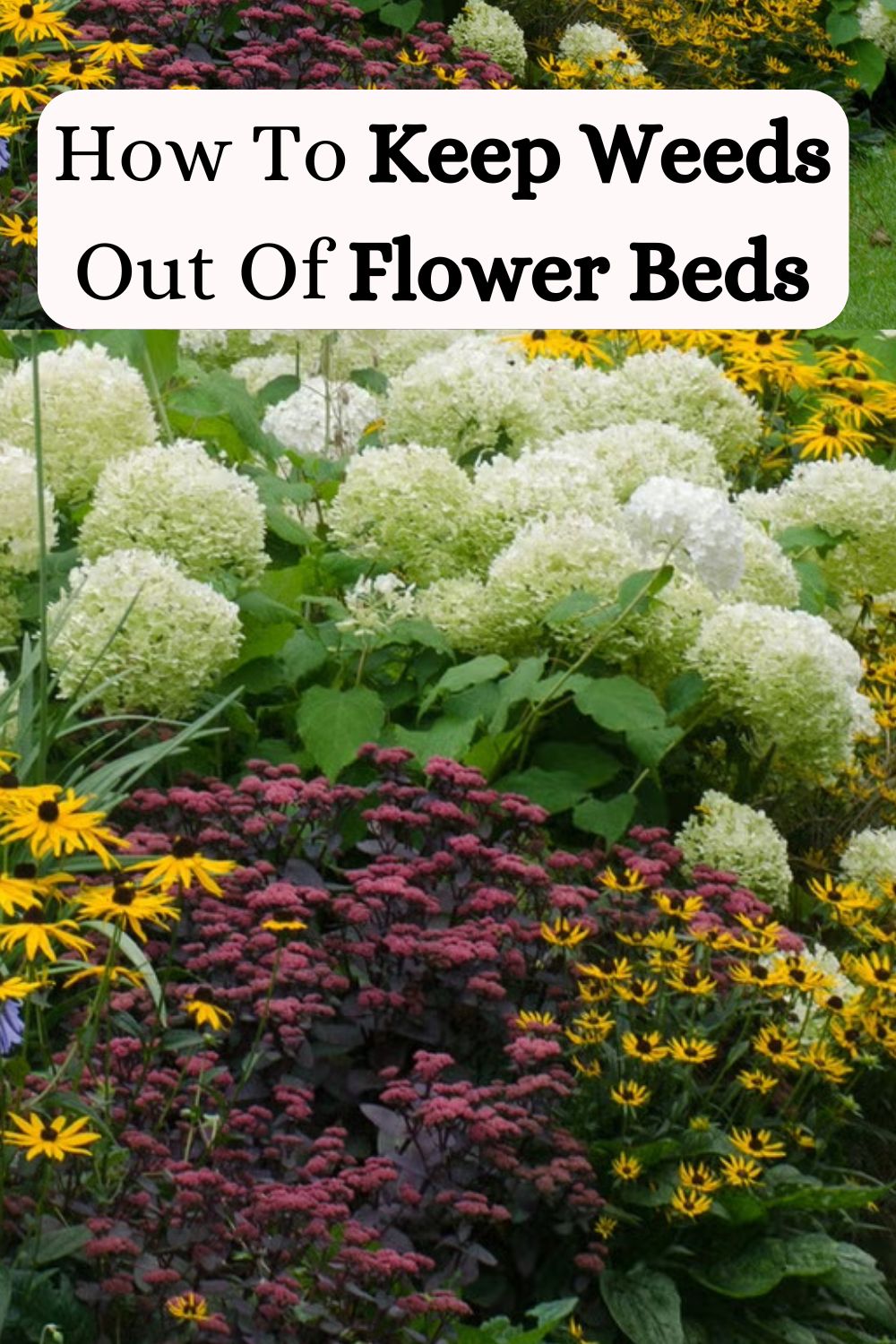 How To Keep Weeds Out Of Flower Beds