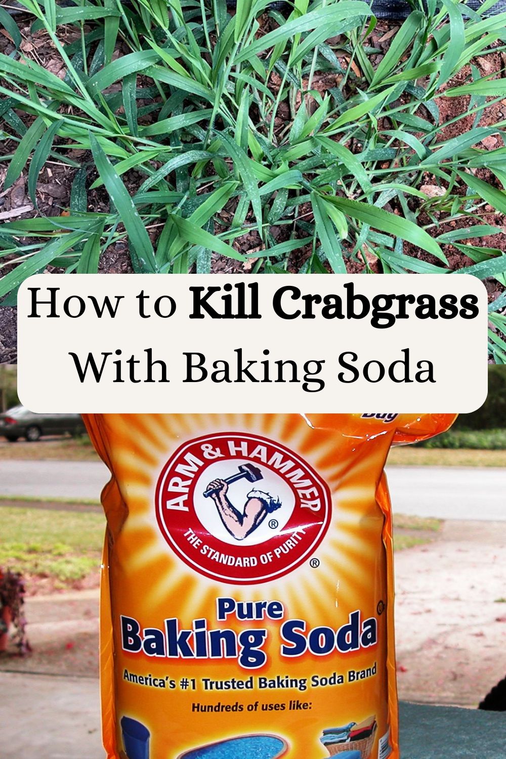 How to Kill Crabgrass With Baking Soda