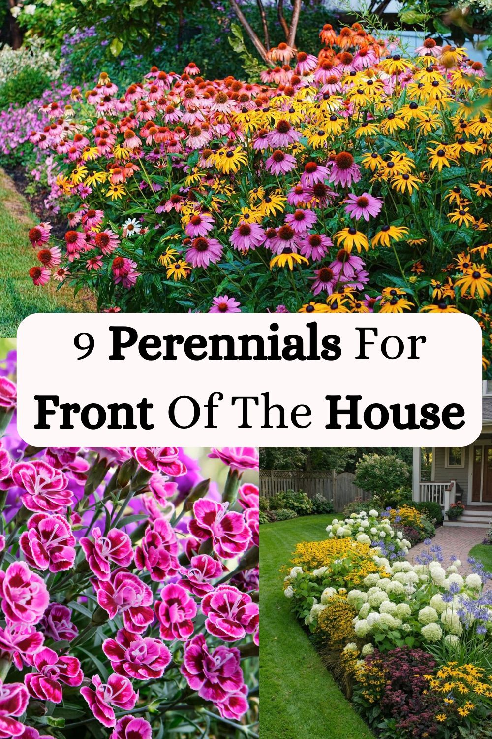 Perennials For Front Of The House