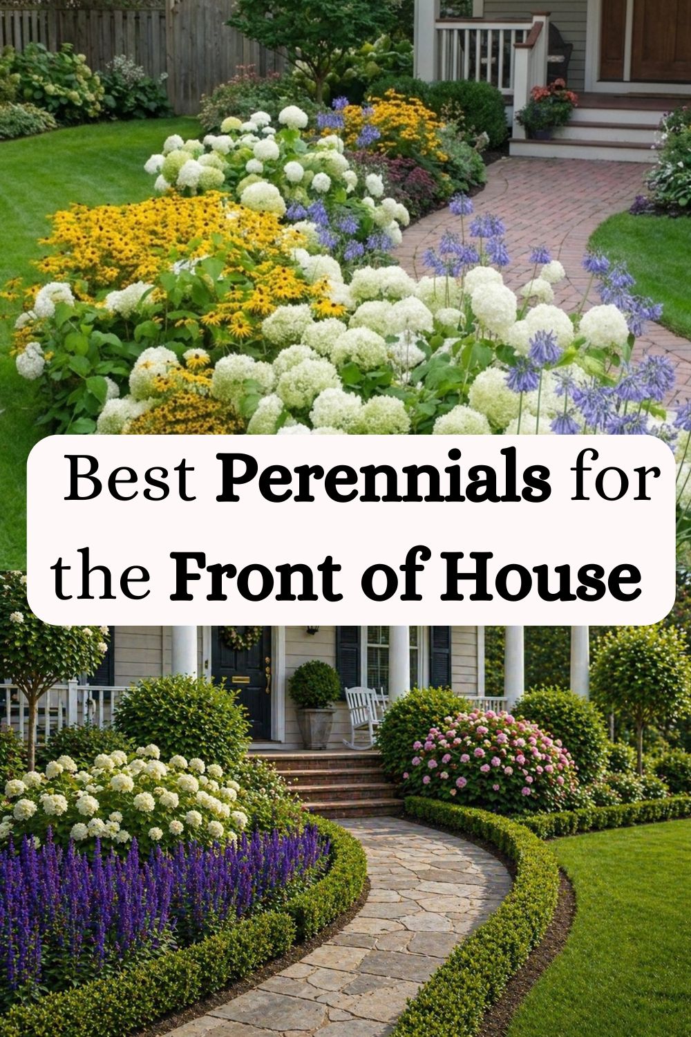 Best Perennials for the Front of House