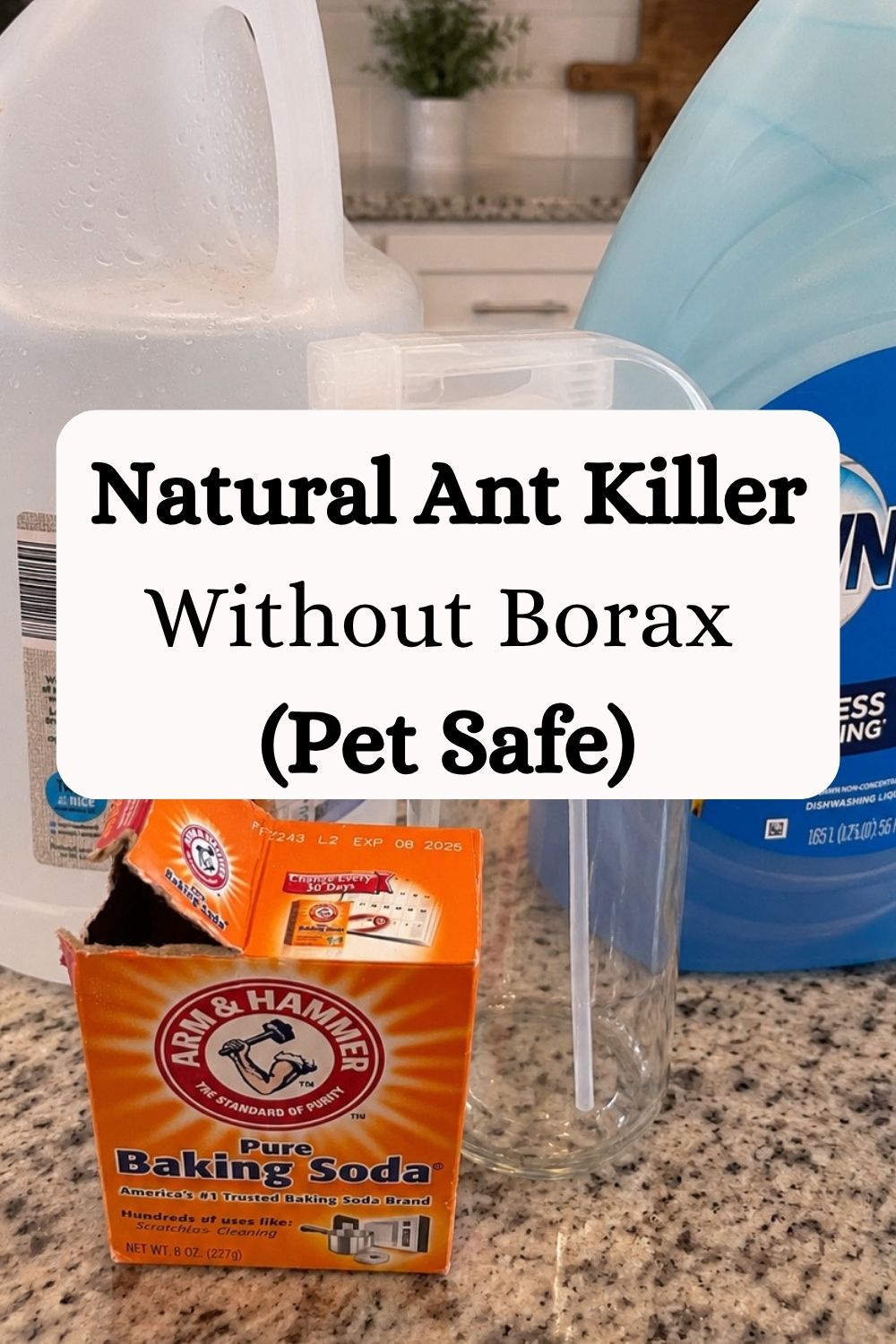 Natural Ant Killer Without Borax (Pet Safe)