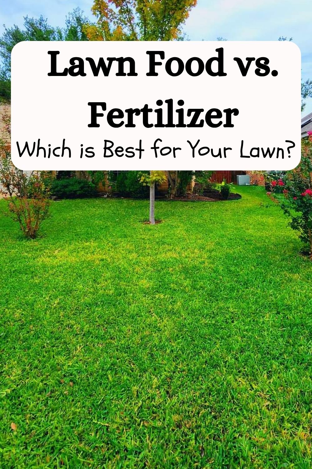 Lawn Food vs Fertilizer